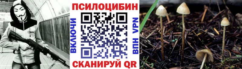 Псилоцибиновые грибы Psilocybine cubensis  Коломна 